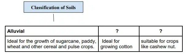 Identify the appropriate option to fill in the empty boxes