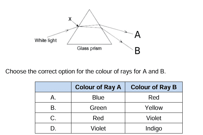 Science Class 10 MCQ Sample Paper 1 Screenshot 2025 11 17 101830