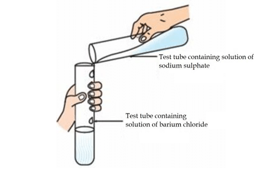 Science Class 10 MCQ Sample Paper 2 Screenshot 2025 11 17 120700