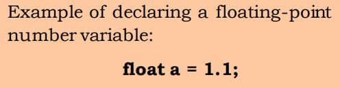 Floating Point Number Data Type