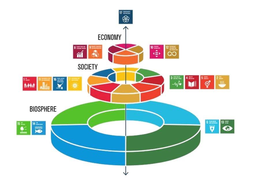 Artificial Intelligence Class 7 Chapter 2 Notes SDG wedding cake