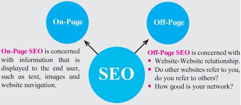type of seo