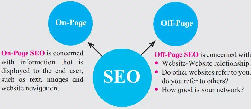 type of seo