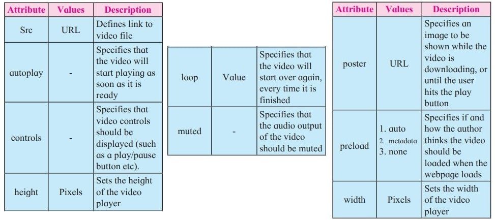 vidio attribute in html