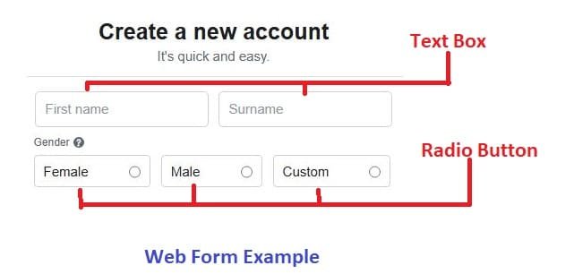 web form example