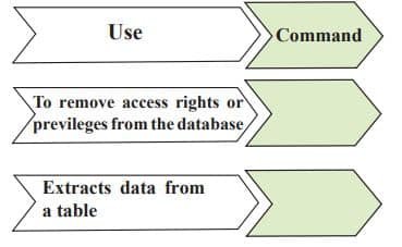Introduction to DBMS Class 11 Exercise Solutions 1 2