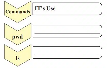 Complete the following with Linux commands with their use