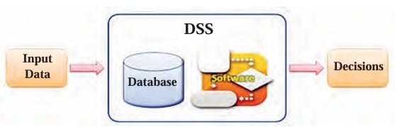 Function of DSS