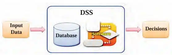 Function of DSS