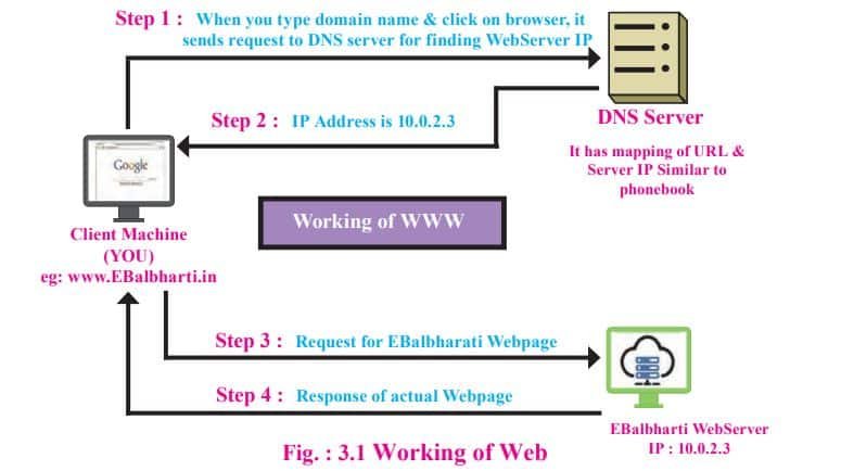 How does the web work