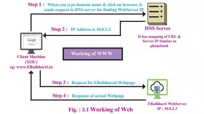 How does the web work