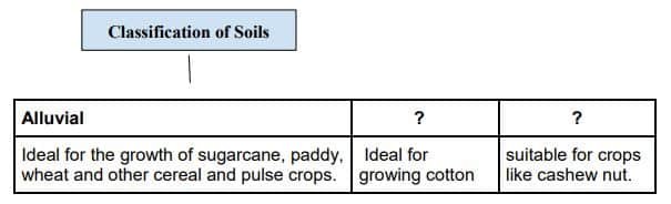 Identify the appropriate option to fill in the empty boxes