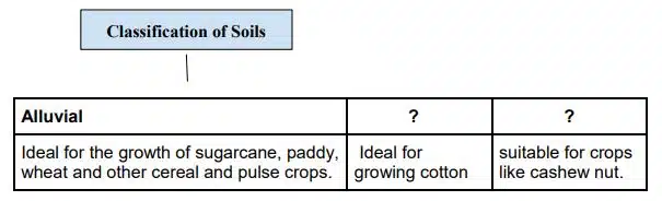Identify the appropriate option to fill in the empty boxes