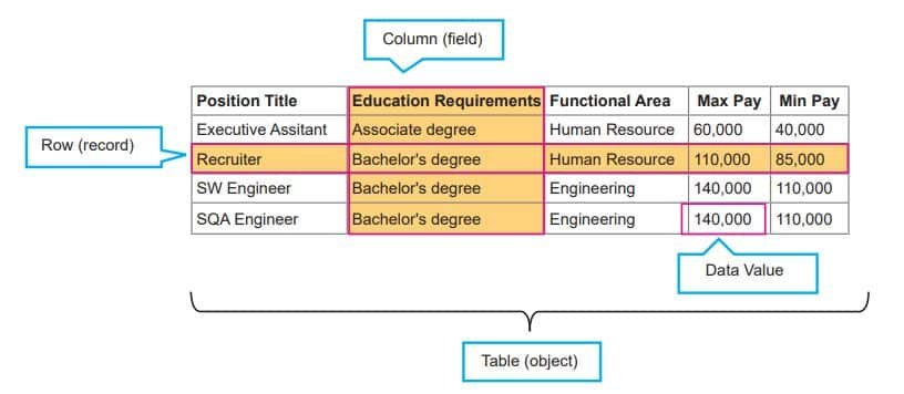 Introduction to DBMS Class 11 HSC Notes Table in Database