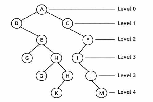 Data Structure using C++ a tree data structure
