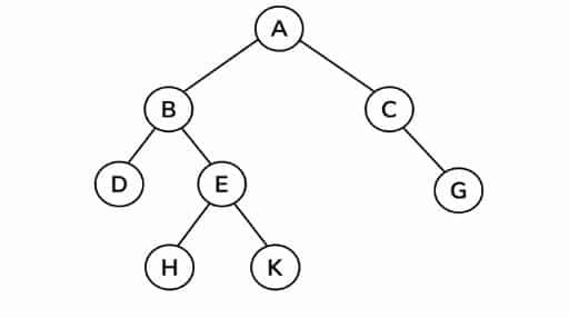 Data Structure using C++ binary tree
