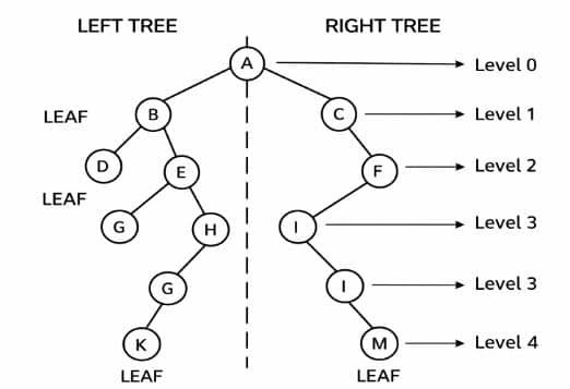 Data Structure using C++ left tree, right tree and leaf
