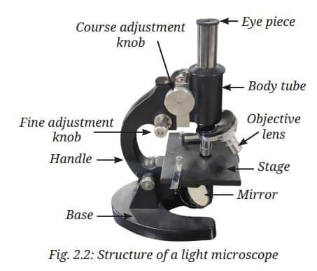 Structure of a light microscope
