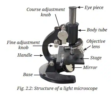 Structure of a light microscope