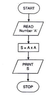 Draw a flow chart to find the square of given number.