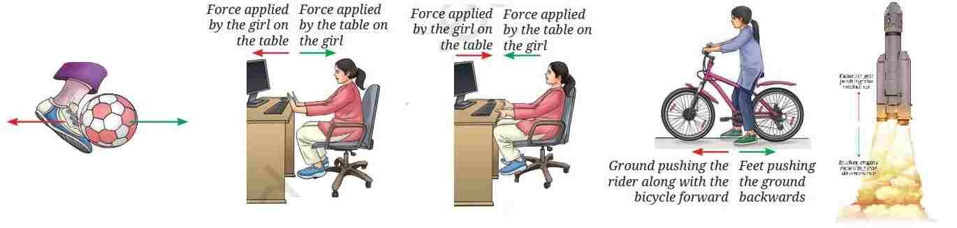 Newton’s Third Law of Motion