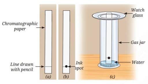 Paper chromatography
