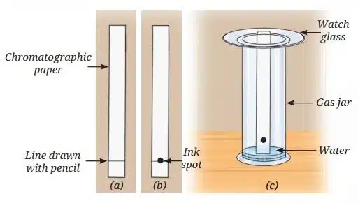Paper chromatography