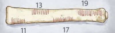 Representation of the prime number tally groupings found on the Ishango bone