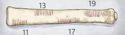 Representation of the prime number tally groupings found on the Ishango bone