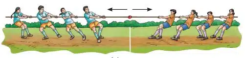 balanced force