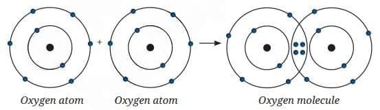 oxygen atom has six valence electrons and needs two more
