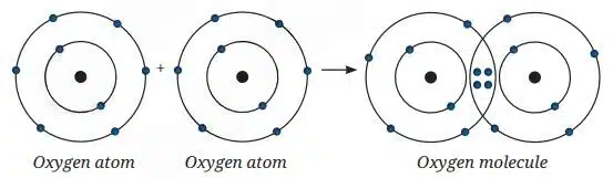 oxygen atom has six valence electrons and needs two more