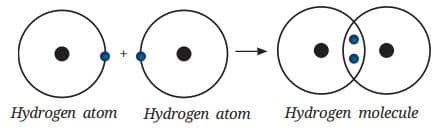 hydrogen atoms share one electron each