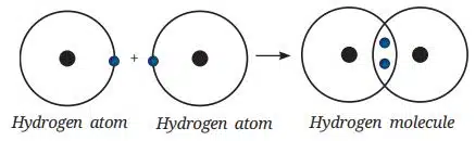 hydrogen atoms share one electron each