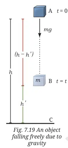 An object falling freely due to gravity