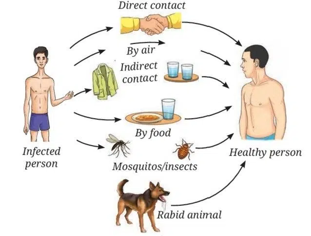 Common methods of transmission of diseases