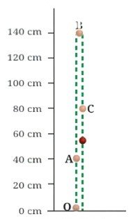 Describing Motion Around Us feg 2