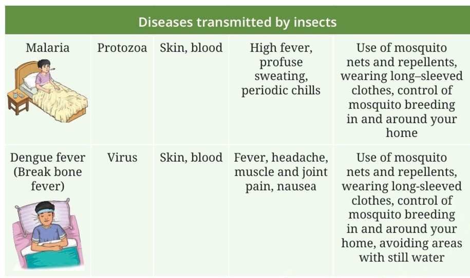 Diseases transmitted by insects