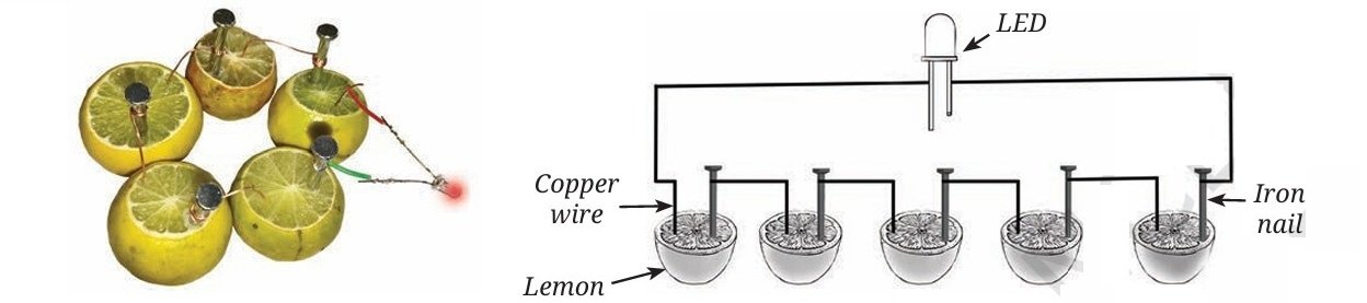 Electric cell made using lemons