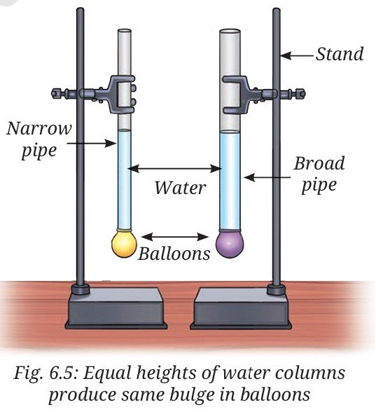 Equal heights of water columns produce same bulge in balloons
