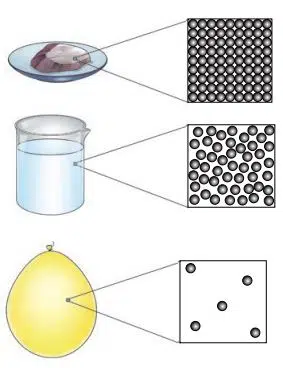 Exploring the Investigative World of Science Class 8 Fig 5