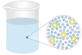 Exploring the Investigative World of Science Class 8 Fig 6