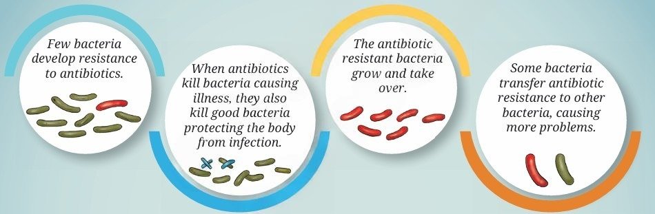 HOW BACTERIA BECAME RESISTANT TO ANTIBIOTICS
