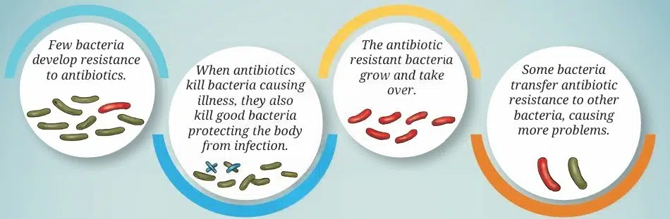 HOW BACTERIA BECAME RESISTANT TO ANTIBIOTICS