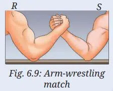 How Forces Affect Motion Class 9 Fig 2