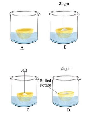 Take four peeled potato halves and scoop each one out to make potato cups
