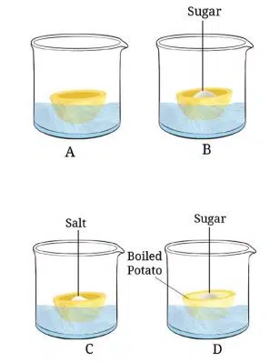Take four peeled potato halves and scoop each one out to make potato cups