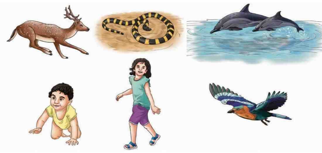 Use of muscular force by living beings
