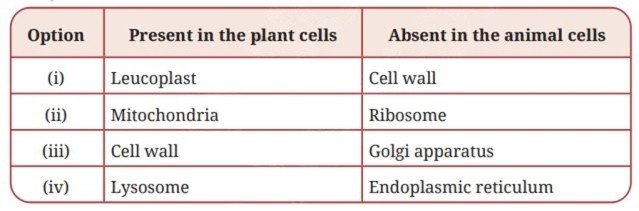 Which of the following options of the pairs of cell organelles are correctly placed under the given categories