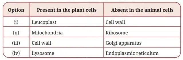 Which of the following options of the pairs of cell organelles are correctly placed under the given categories